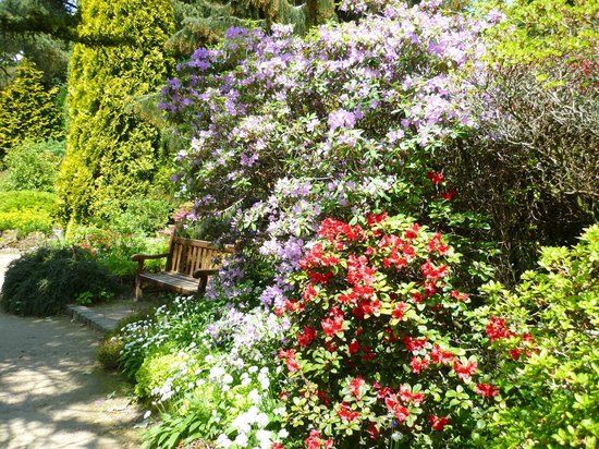 Fletcher Moss Botanical Garden